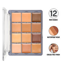 Daily Life Forever52 Academic 12 Color Concealer Palette