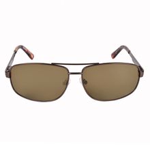 Timberland Brown Frame Brown Lens Sunglasses - TB7119 63 48E (63)