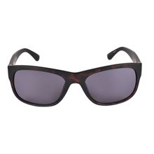 Timberland Brown Frame Grey Lens Sunglasses - TB7135 57 56A (57)