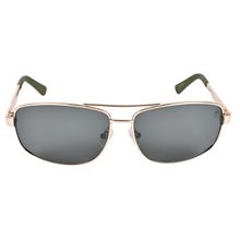 Timberland Gold Frame Grey Lens Sunglasses - TB7119 63 32N (63)