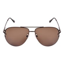 Timberland Brown Frame Brown Lens Sunglasses - TB7174 63 49E (63)