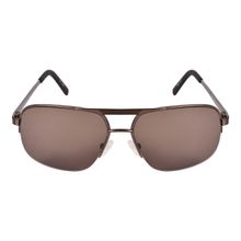 Timberland Brown Frame Brown Lens Sunglasses - TB7173 58 49E (58)