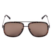 Timberland Brown Frame Brown Lens Sunglasses - TB7212 57 52E (57)