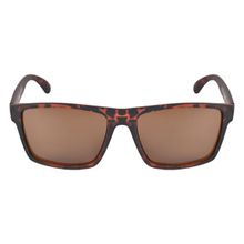 Timberland Brown Frame Brown Lens Sunglasses - TB7217 57 52E (57)