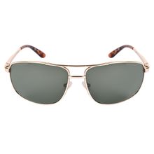Timberland Gold Frame Green Lens Sunglasses - TB7259 61 32N (61)