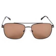 Timberland Brown Frame Brown Lens Sunglasses - TB7257 58 12E (58)