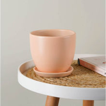Nurturing Green Pastel Blush Beige Ceramic Pot