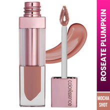 Coloressence Roseate Plumpkin Tinted Lip Gloss
