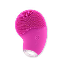 iGRiD Professional Mini Silicone Face Exfoliator Brush 2 in ...