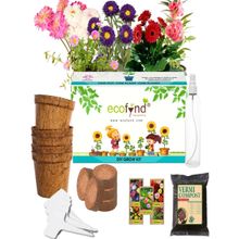 Ecofynd 5-In-1 Diy Flowering Grow Kit- Zinnia, Balsam, Dahlia, Aster, Portulaca - Gardening Set