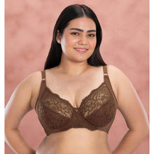 Shyaway Mustang Brown Seamed Lightly Padded Wired Lace Bra