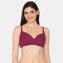 Zivame Padded Non Wired 3-4th Coverage Maternity Bra - Burgundy