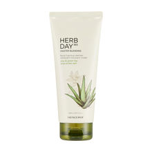 The Face Shop Herb Day 365 Master Blending Foaming Cleanser