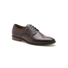 Arrow Men NORTON Brown Formal Shoe