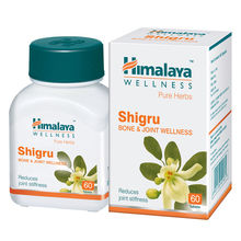 Himalaya Wellness Shigru 60 Tablets