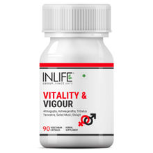 Inlife Vitality and Vigour Supplement for 90 Vegetarian Capsules