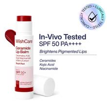 WishCare Tinted Ceramide SPF50 Lip Balm for Dark Pigmented Lips- Heals Dry & Chapped Lips- Blush Red