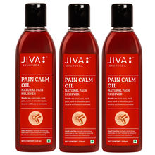 Jiva Ayurveda Pain Calm Oil - Pack of 3