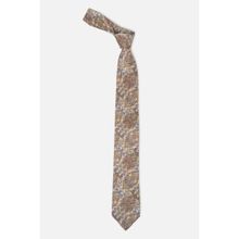 Peter England Mens Beige Embroidered Tie