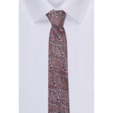 Peter England Mens Pink Embroidered Tie