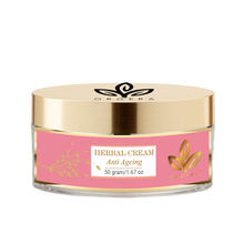 Orgera Herbal Cream Anti Ageing