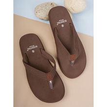 SCENTRA Men Brown Perforated Thong Flipflop