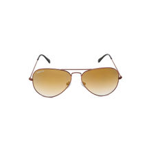 Fastrack Brown Aviator Sunglasses (M165BR37GV)