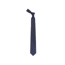 Tossido Blue Necktie