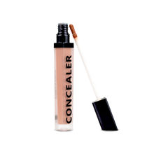 Daily Life Forever52 Coverup Concealer