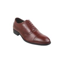 Metro Men Casual Synthetic Maroon Brogues