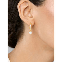 MINUTIAE Gold-Toned Circular Studs Earrings
