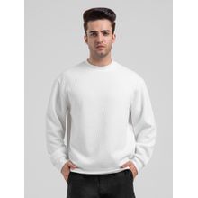 Red Tape Men White Polyester Round Neck Sweatshirt