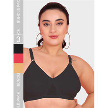 Curvy Love Multi-Color Plus Size Soft Cotton Everyday Full Bra (Pack of 3)