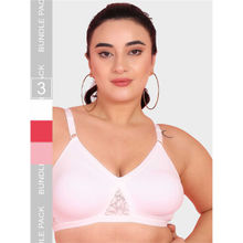 Curvy Love Multi-Color Plus Size Soft Cotton Everyday Full Bra (Pack of 3)