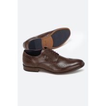 Allen Solly Brown Derby Shoes