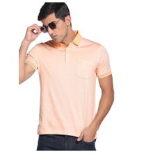 Arrow Orange Tipped Collar Knitted Polo T-Shirt