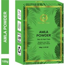 Nuerma Science Amla Powder (Indian Gooseberry) for Skin & Hair (Edible) (100% Pure & Natural)