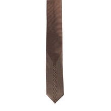 Alvaro Castagnino Mens 100 Percent Microfiber Necktie