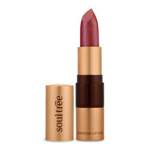 SoulTree Ayurvedic Lipstick