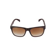 Gio Collection GM6141C02 55 Wayfarer Sunglasses