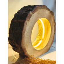 Akira Furnishings Mango Wood Bark Led Lamp