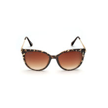 Duke UV 400 Women Cat Eye Sunglasses-DUKE-005-C3