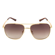 Equal Brown Colour Sunglasses Aviator Shape Full Rim Gold Frame