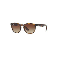 Ray-Ban 0RB4252I710/1351 Brown Highstreet Round Sunglasses (51 mm)