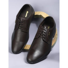 Bata Men Formal Round Toe Derbies Shoes Brown