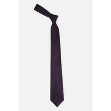 Peter England Men Purple Embroidered Tie
