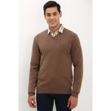 Allen Solly Men Brown Textured V Neck Full Sleeves Sweater