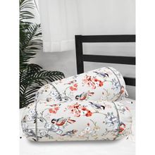 The Home Story Cotton Bolster Covers Set of 2 300 TC Bird Print on Beige Base