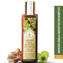 VITMINVEDA Pure Moroccan Argan Shampoo