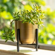 The Pitara Project Planter Gold Antique With Black Stand